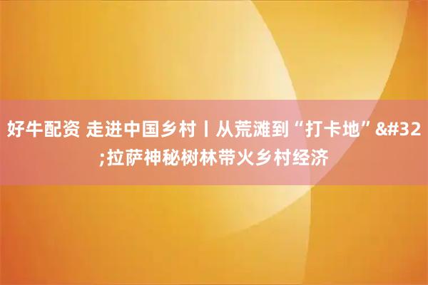 好牛配资 走进中国乡村丨从荒滩到“打卡地” 拉萨神秘树林带火乡村经济