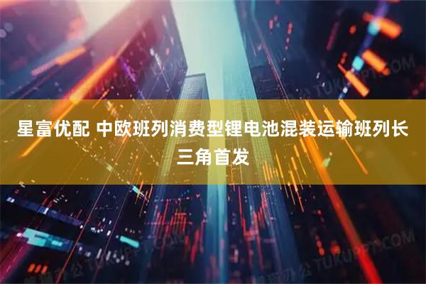 星富优配 中欧班列消费型锂电池混装运输班列长三角首发