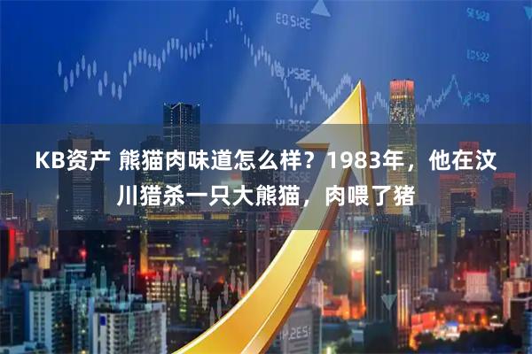 KB资产 熊猫肉味道怎么样？1983年，他在汶川猎杀一只大熊猫，肉喂了猪