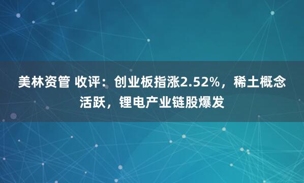 美林资管 收评：创业板指涨2.52%，稀土概念活跃，锂电产业链股爆发
